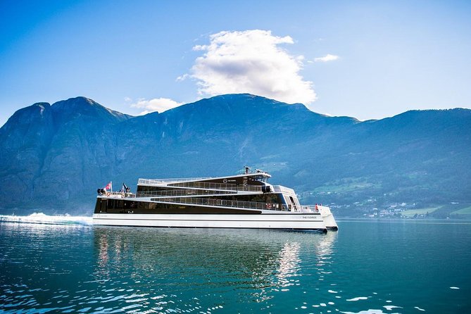 Private Guided Tour - Premium Nærøyfjord Cruise and Flåm Railway - Scenic Highlights and Attractions