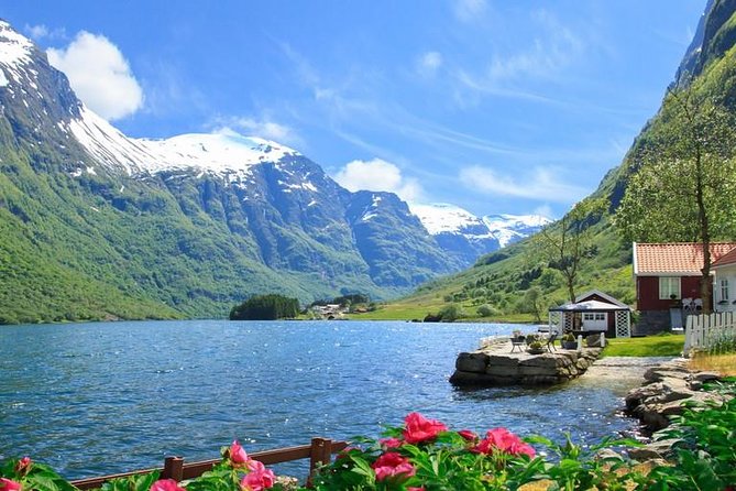 Private Guided Tour - Premium Nærøyfjord Cruise and Flåm Railway - Positive Traveler Reviews