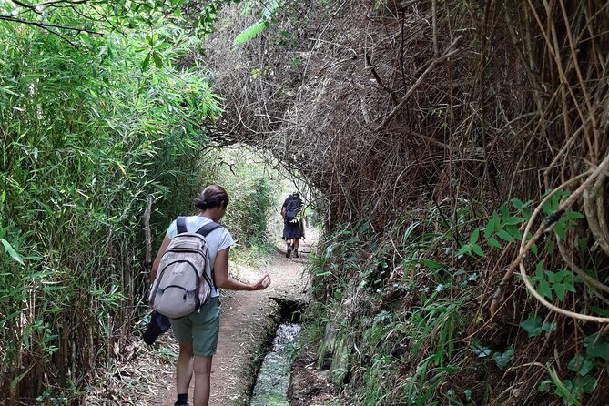 Private Guided Walk Levada Brasileiro – Levada Do Moinho - Additional Notes