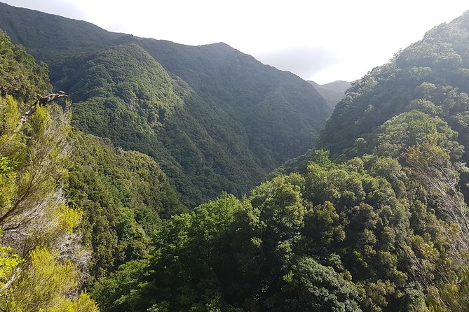 Private Guided Walk Levada Ribeira Da Janela - Tour Highlights