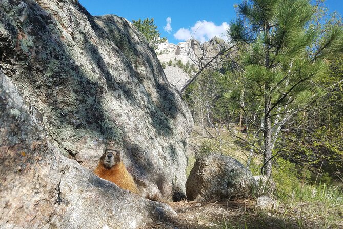 Private Half Day Mt Rushmore & Black Hills Tour - Pickup Information