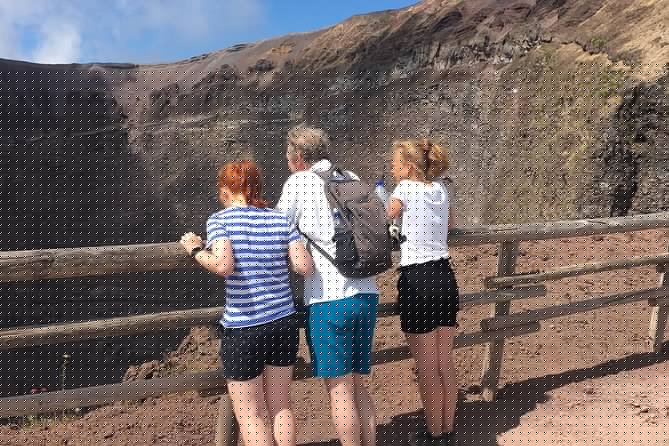 Private Half-Day Sightseeing Tour of Vesuvius National Park - Sights and Viewpoints Along the Way