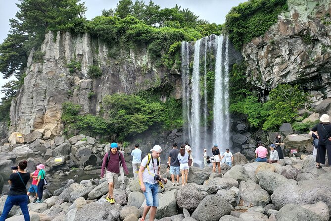 Private Half Day South and West Tour in Jeju Island - Reviews and Traveler Feedback