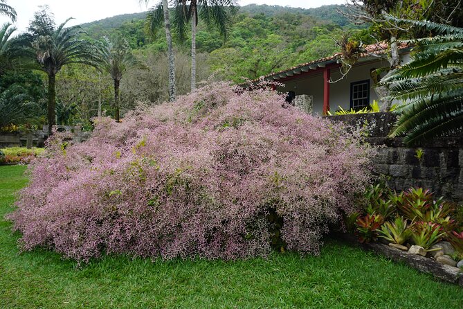 Private Half-Day Tour in Roberto Burle Marx Site - Site History and Significance