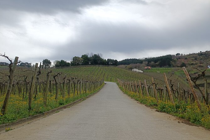 Private Half Day Txakoli Wine Tour & Getaria Fishing Village - Sampling Local Cuisine