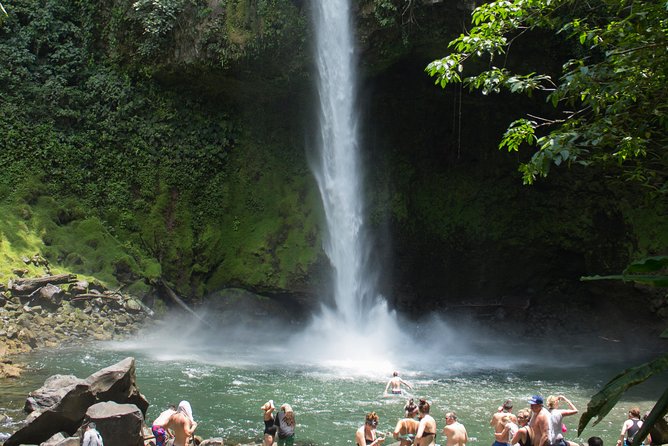 Private Hanging Bridges + Waterfall Tour + Costarrican Lunch - Taking in Rainforest Wonders