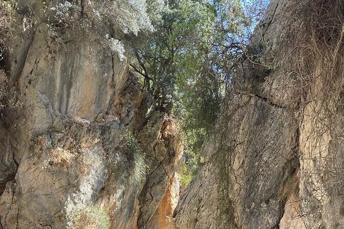 Private Hiking Tour in Imbros Gorge (Chania) - Optional Add-ons and Enhancements