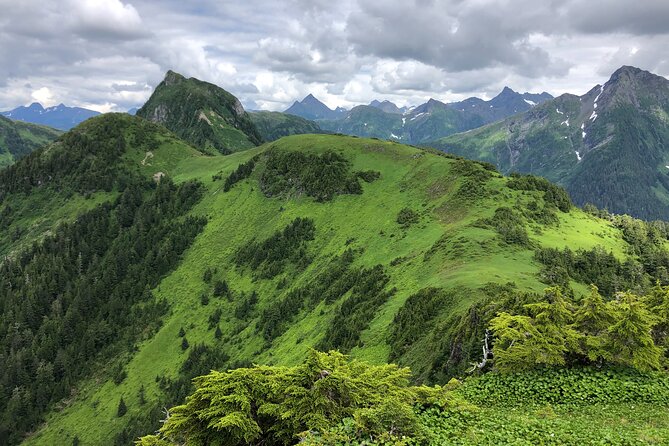 Private Hiking Tour in Sitka, Alaska - Customer Feedback Highlights