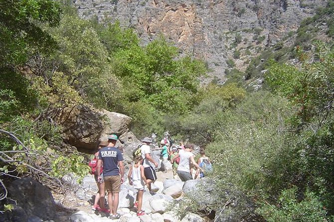 PRIVATE Hiking Walking GORGE Nearby Hersonissos CRETE - Food and Dietary Options