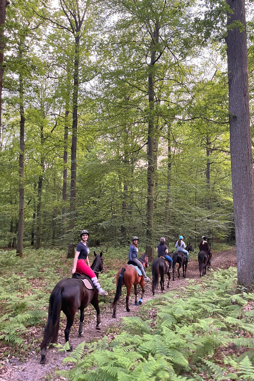 Private Horse Ride Experience - Safety and Restrictions