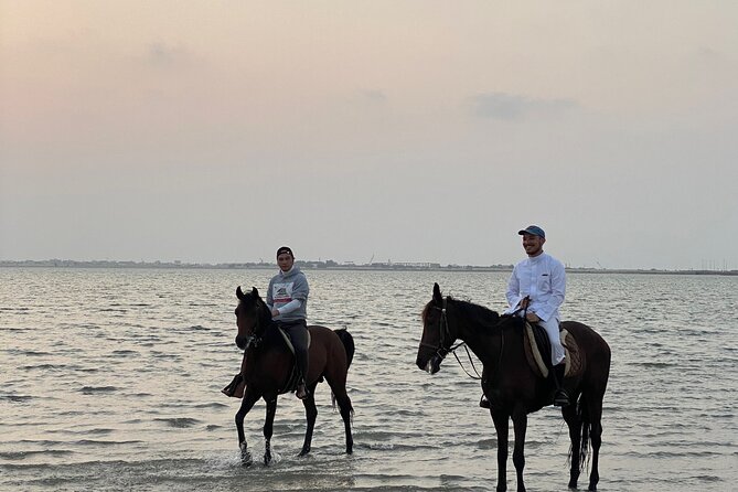 Private Horse Riding Experience at Red Sea - Accessibility Information