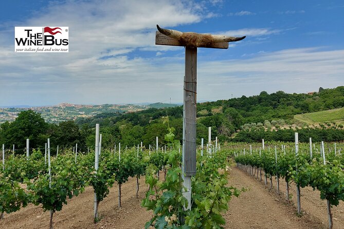 Private Irpinia Wine Tour From NAPLES With Sommelier - Expert Sommelier-Guided Explorations