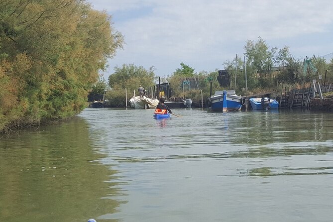 Private Kayak Tour in the Venetian Lagoon - Customer Feedback