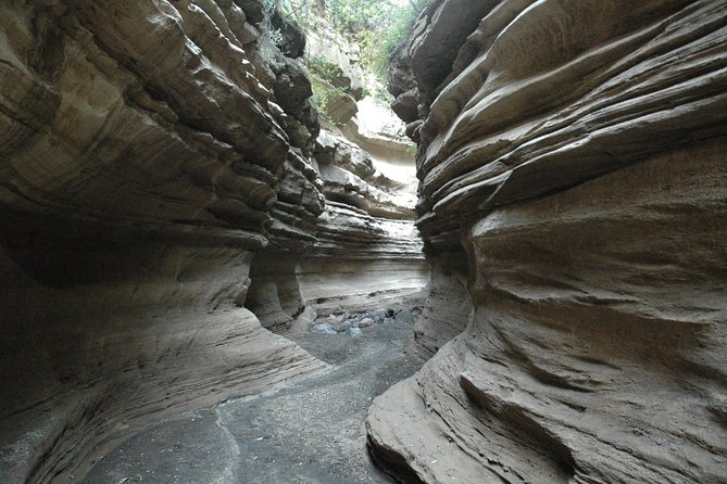 Private Layover Tour to Hells Gate National Park With Optional Boat Ride - Ratings and Reviews
