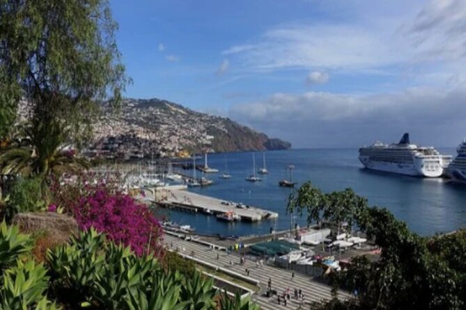Private: Maderia Island Tour & Famous Monte Toboggan Ride - Traveler Reviews and Impressions