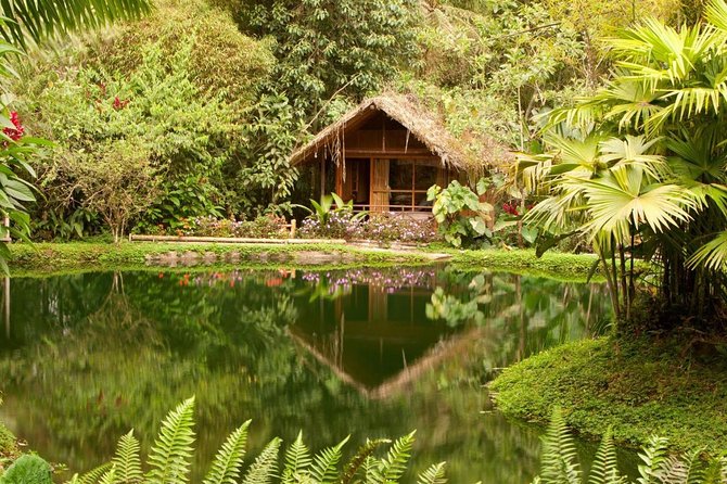 Private Mindo Cloud Forest Tour From Quito - Wildlife and Nature Sights