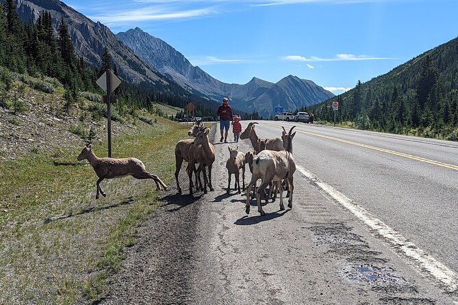 Private Minivan Calgary Ski Transfers - Banff, Lake Louise, Fernie, Golden - Accessibility Details