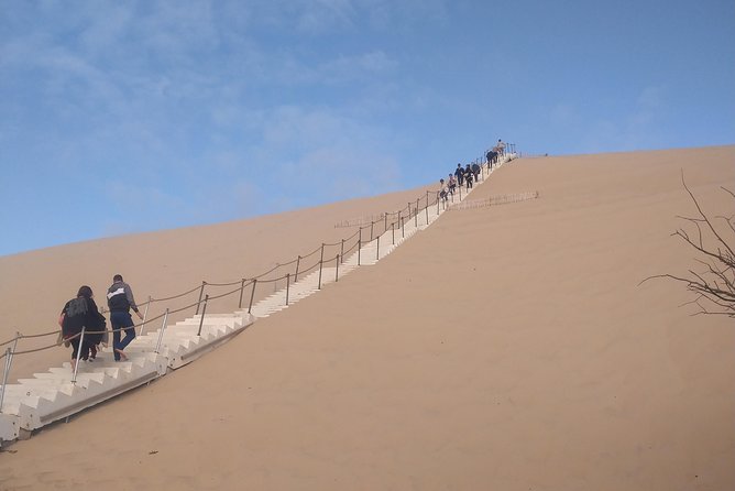 Private Morning Trip to the Dune of Pyla & Oysters Tasting at the Local Market - Hiking the Dune of Pyla