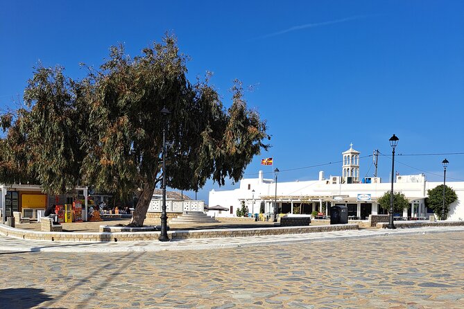 Private Mykonos Island Sightseeing Tour. - Experiencing the Local Culture