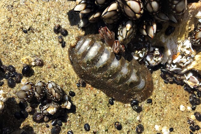 Private Northern Oregon Coast Day Trip - Private Tour Experience