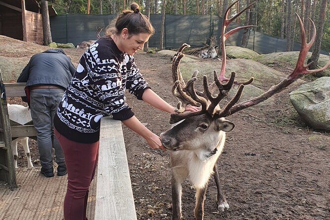 PRIVATE Reindeer Park Adventure by VIP Car - Pricing and Booking Information