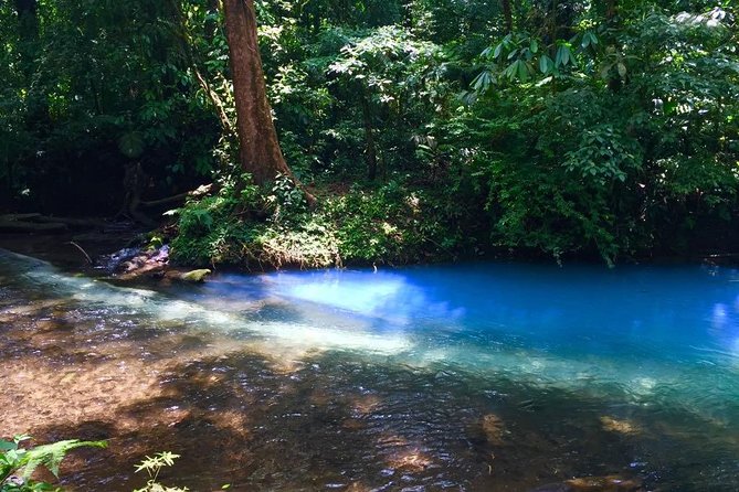 Private Rio Celeste National Park & Sloth Reserve - Tour Requirements and Accessibility