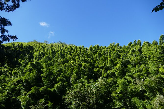 PRIVATE Road to Hana Tour - Tour Logistics