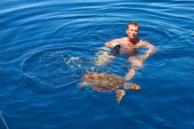 Private Sailing - Dolphin Experience From Estepona - Drink & Food - Customer Feedback