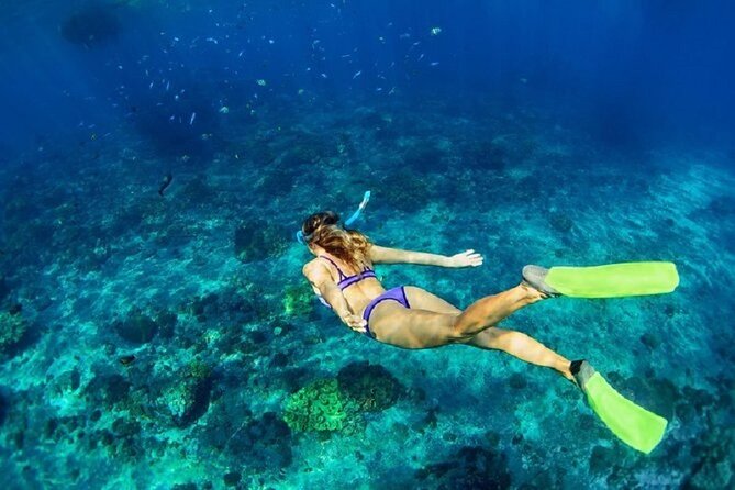 Private Sailing Tour in Rhodes - Customer Reviews