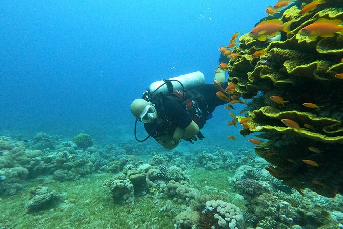 Private Scuba Diving Adventure in the Red Sea of Aqaba - Meeting and Pickup Details