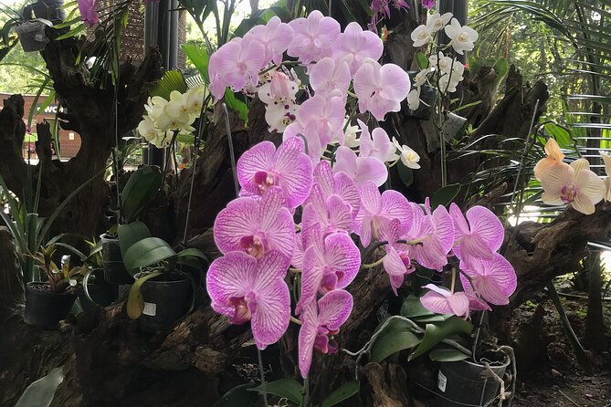 Private Silleteros (Flowers) Tour - Accessibility and Considerations