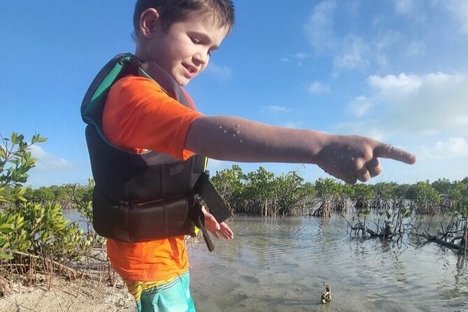 Private Snorkel One Reef - Customer Reviews and Ratings