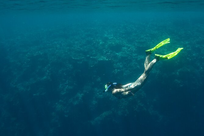Private Snorkeling Experience in Aqaba Red Sea - Discovering Marine Life in Aqaba