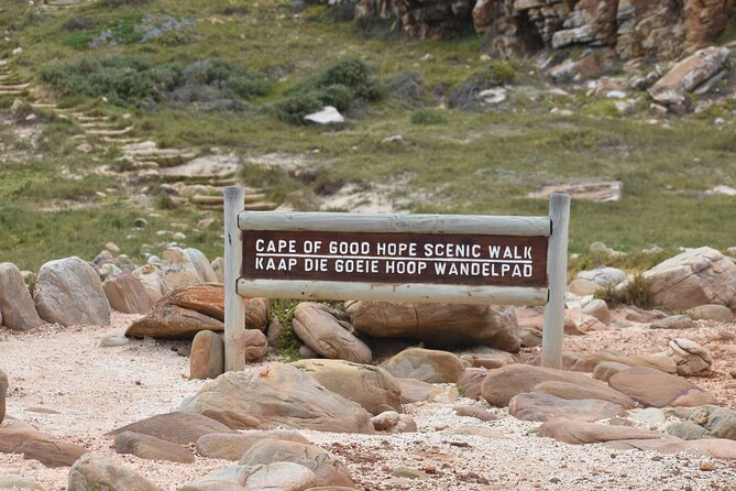 Private Tour Cape of Good Hope & Penguins Sightseeing Full Day - Booking Information