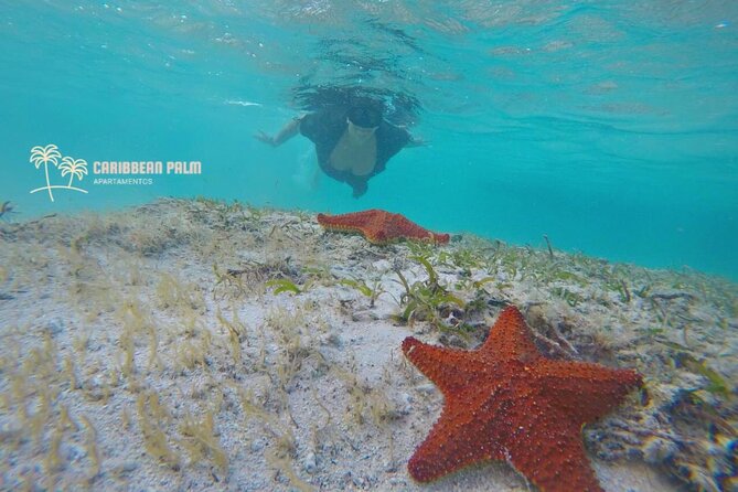 Private Tour in Luxury BOAT Over the Sea of ​​7 Colors - Reviews Summary
