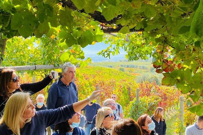 Private Tour in Pompeii Ruins and Pompeii City Center Winery - Questions and Assistance