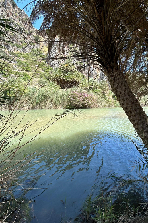 Private Tour Kourtaliotiko Gorge+Preveli Beach /Chania - Preveli Beach