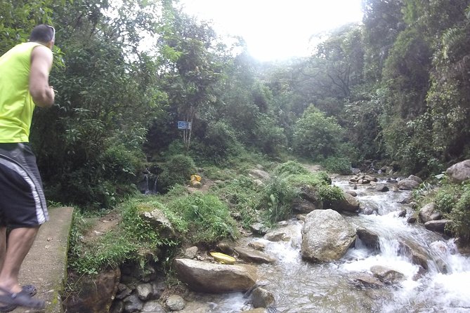Private Tour: La Miel Magnificent Natural Reserve Hike - Discovering the Cloud Forest