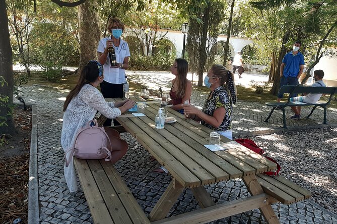 Private Tour of Azeitão / Palmela / Setúbal Wines - Traveler Reviews and Feedback