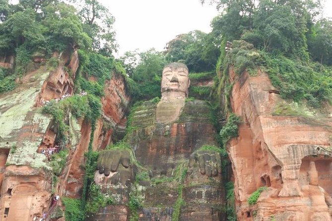 Private Tour of Chengdu Panda Center and Leshan Giant Buddha - Customer Reviews and Feedback