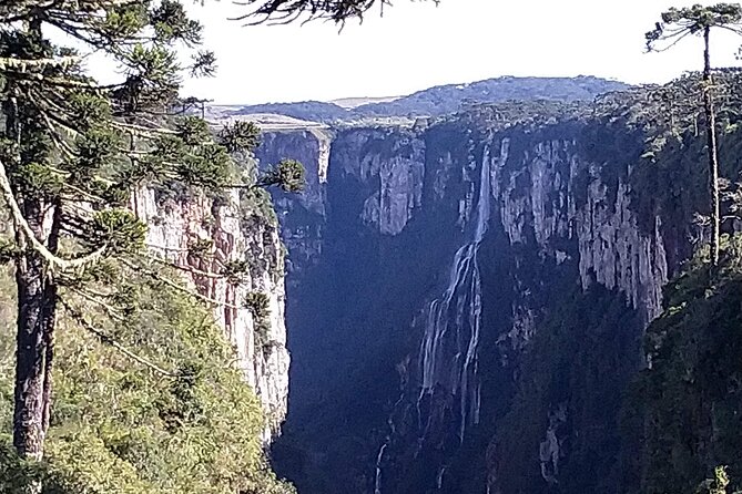Private Tour of Fortaleza and Itaimbezinho Canyons - Reviews and Feedback