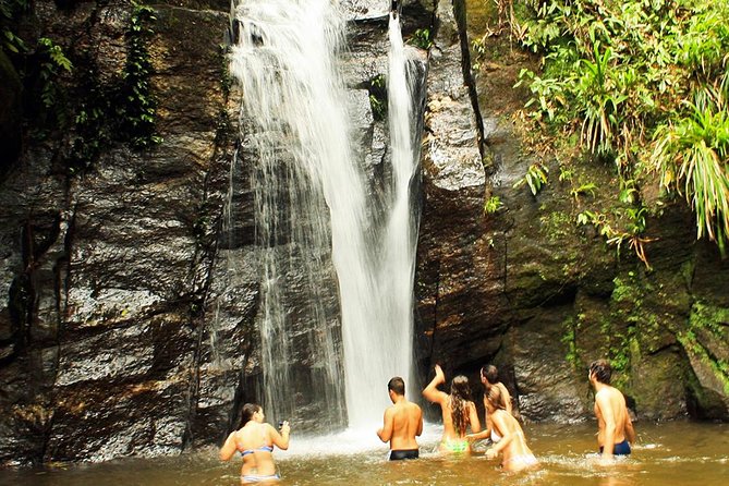 Private Tour: Rio De Janeiro Eco Tour at Tijuca National Park - Review Highlights