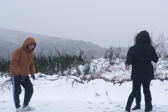 Private Tour Through Serra Da Estrela Park and Its Famous Cheese - Customer Support