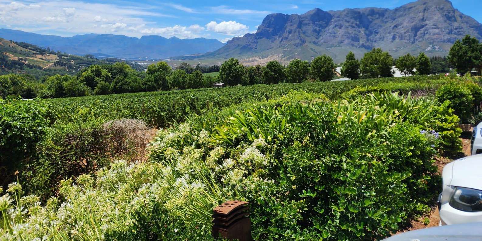 Private Tour to 20 Wine Tasting in Stellenbosch &Franschhoek - Tastings and Experiences