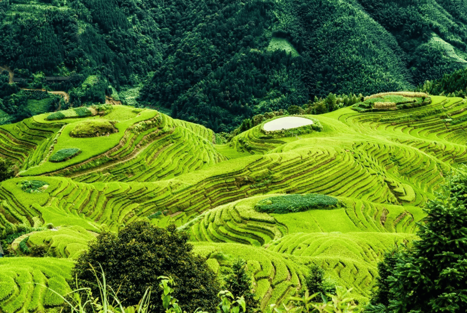 Private Tour to Longsheng Terrace Start From Guilin/Yangshuo - Scenic Viewpoints