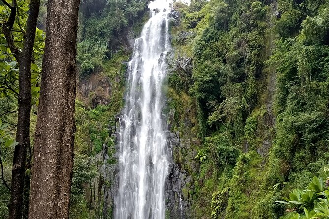 Private Tour to Materuni Waterfalls, Coffee Tour & Kikuletwa Hot- Springs - Traveler Experiences