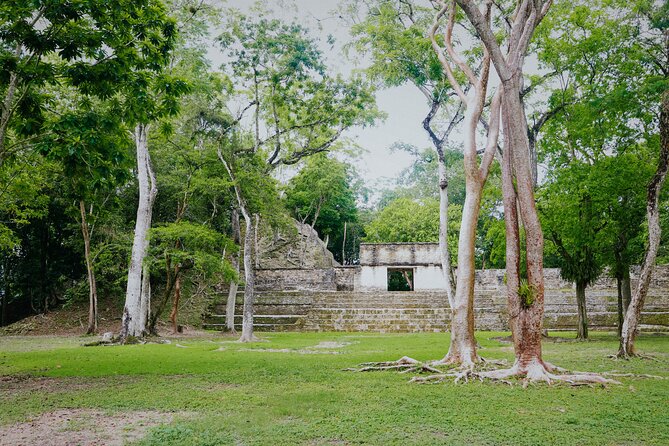Private Tour to Maya Sites Xunantunich and Cahal Pech - Pickup and Accessibility