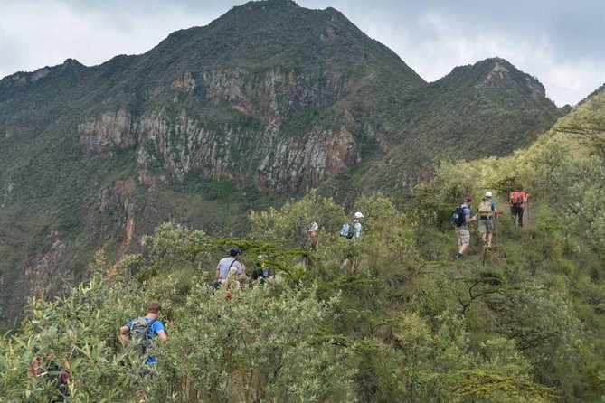Private Tour to Mount Longonot and Optional Boat Ride on Lake Naivasha - Traveler Experiences