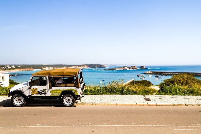 Private Tour to Sagres (Half Day) - Customer Reviews and Feedback