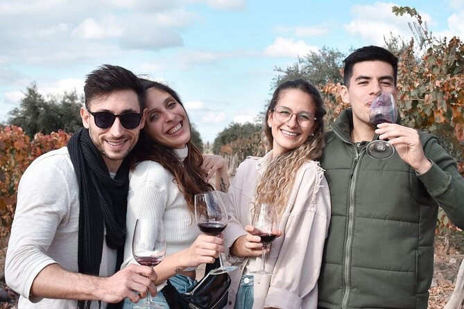 Private Tour: Wineries for the Day in Mendoza - Mendozas Renowned Wineries